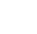 texas logo